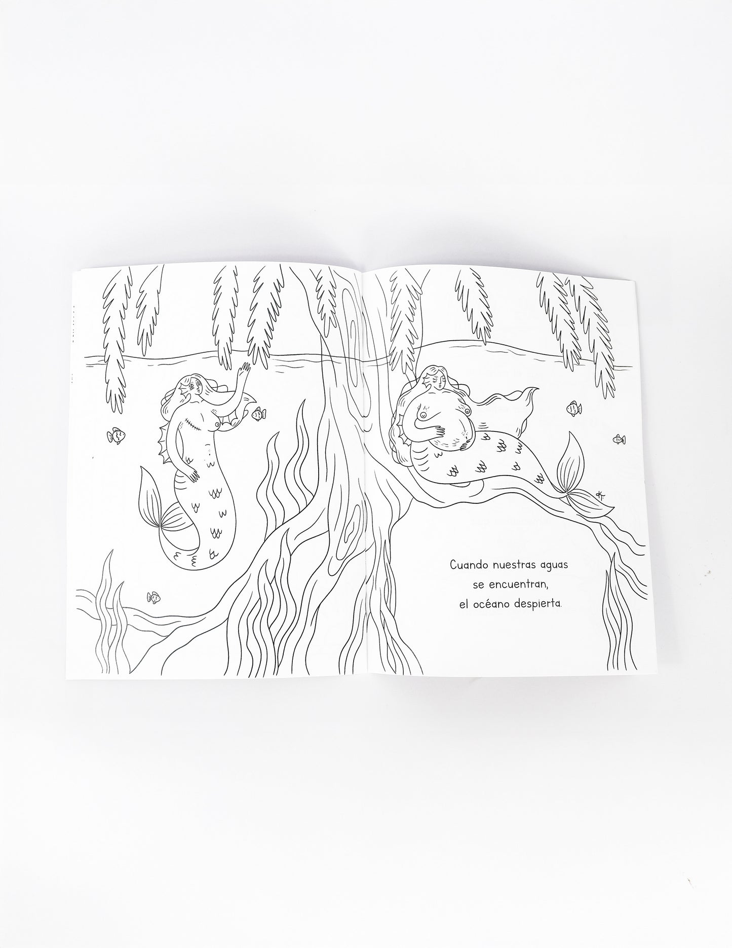 Libro Para Colorear Florecer