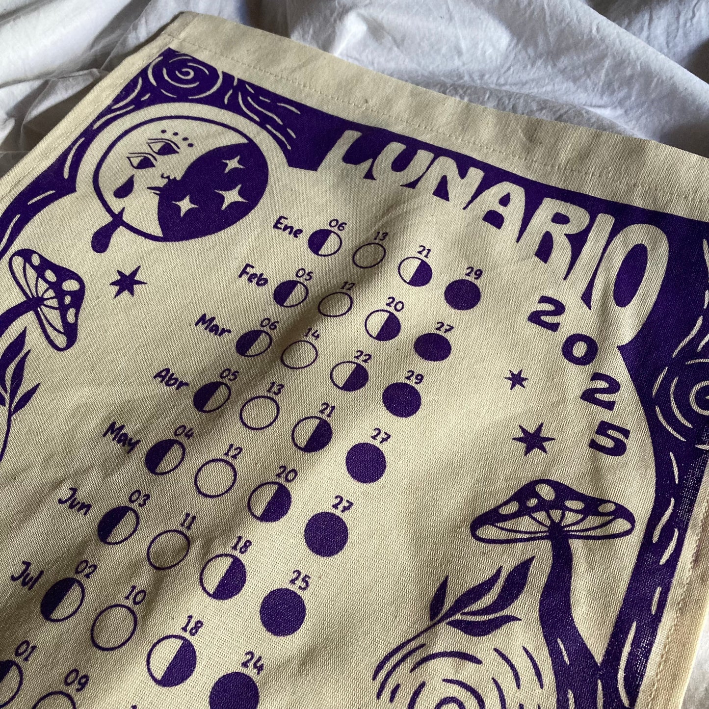 Paquete Diario 4 + Totebag + Lunario 2025