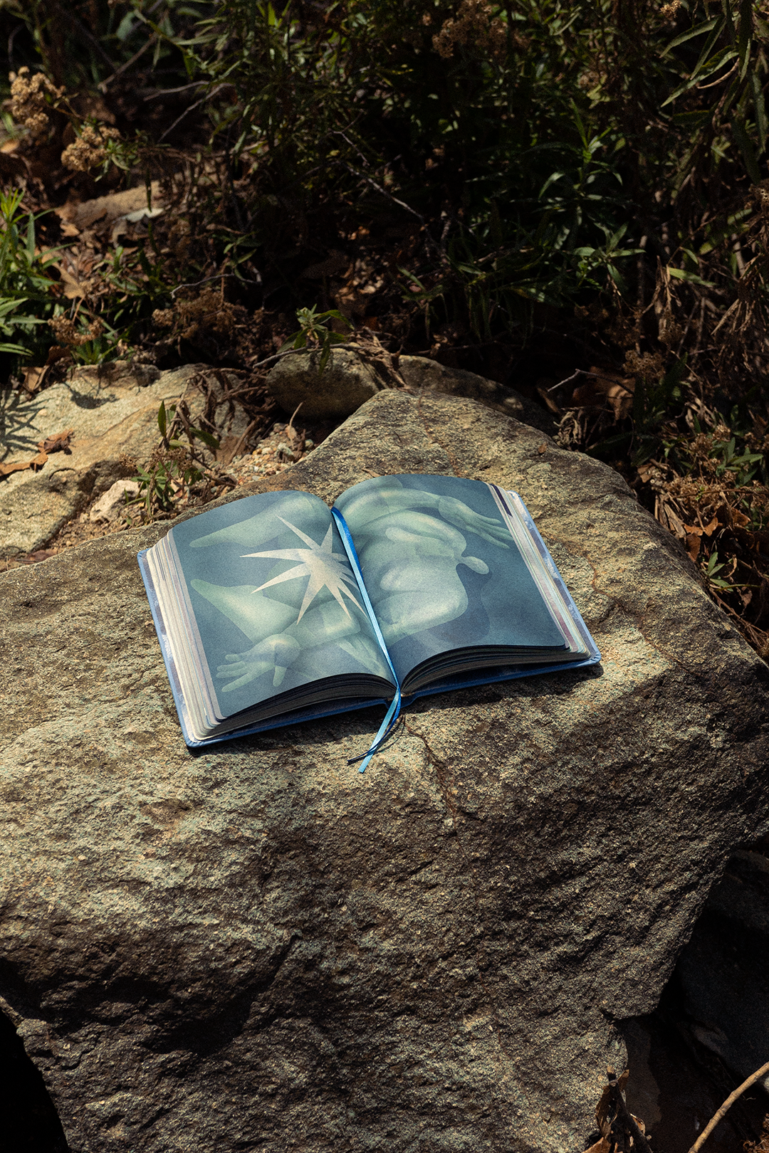 Diario Creativo para el Autoconocimiento: Mareas